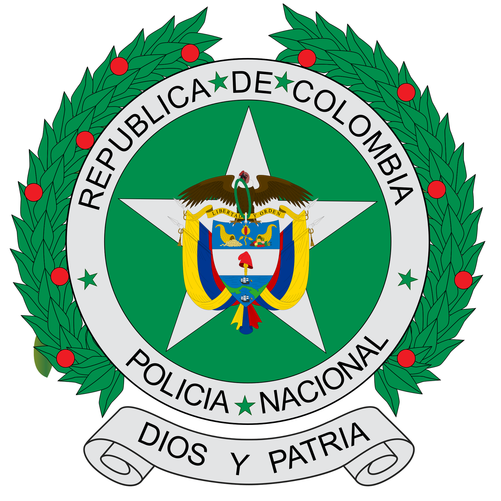 Pólicia nacional de Colombia